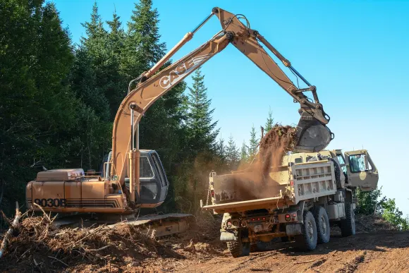 كازينو لوت بيت الدعم